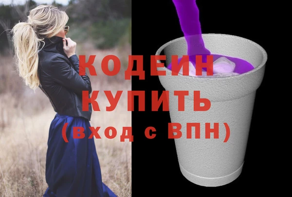 прущие грибы Чекалин