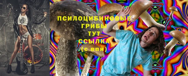 стафф Чегем
