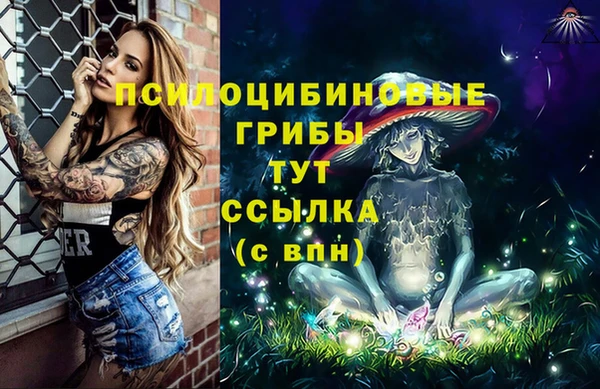 бошки Горно-Алтайск