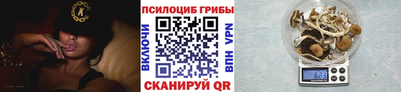 Галлюциногенные грибы прущие грибы  купить наркоту  Пересвет 